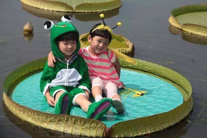 罕见的奇花异草 (160种奇花异草绝对有你没见过的)