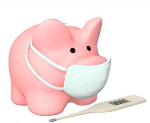 养猪场容易得传染病吗,养猪怎么预防呼吸道疾病