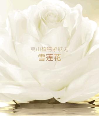 大饼脸用什么减肥方法,减肥圆脸变v字脸效果好吗