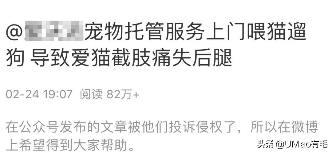 上门喂猫到底怎么样,上门喂猫一般多久一次