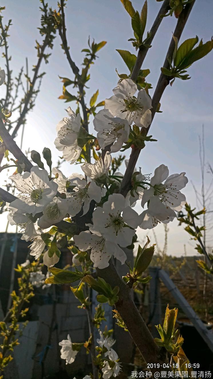 诗和远方在身边完整版,诗和远方在身边