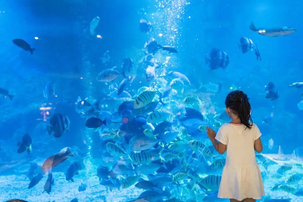 三亚海底酒店,三亚海底酒店海底套房