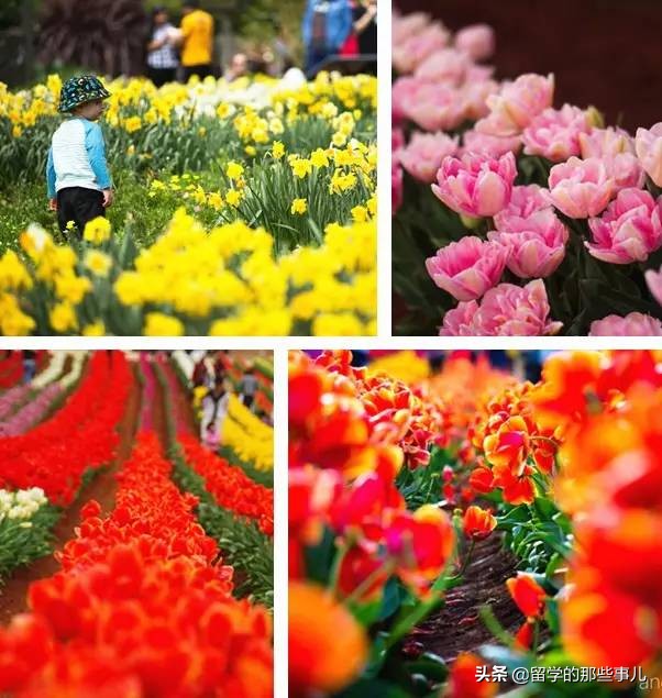 澳大利亚有哪些旅游胜地,澳大利亚有什么好玩的免费景点