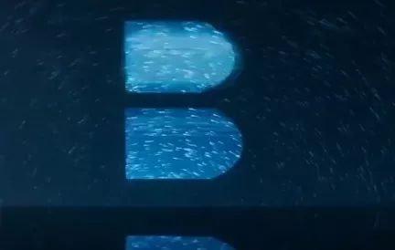 鞋王百丽的数字化转型历程,一代鞋王百丽