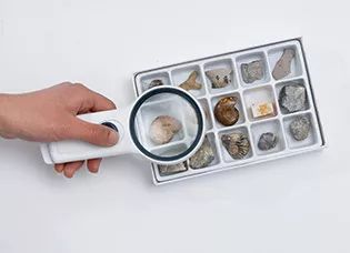 第六届小学科学特级教师论坛,东方教具参展81届教具装备会