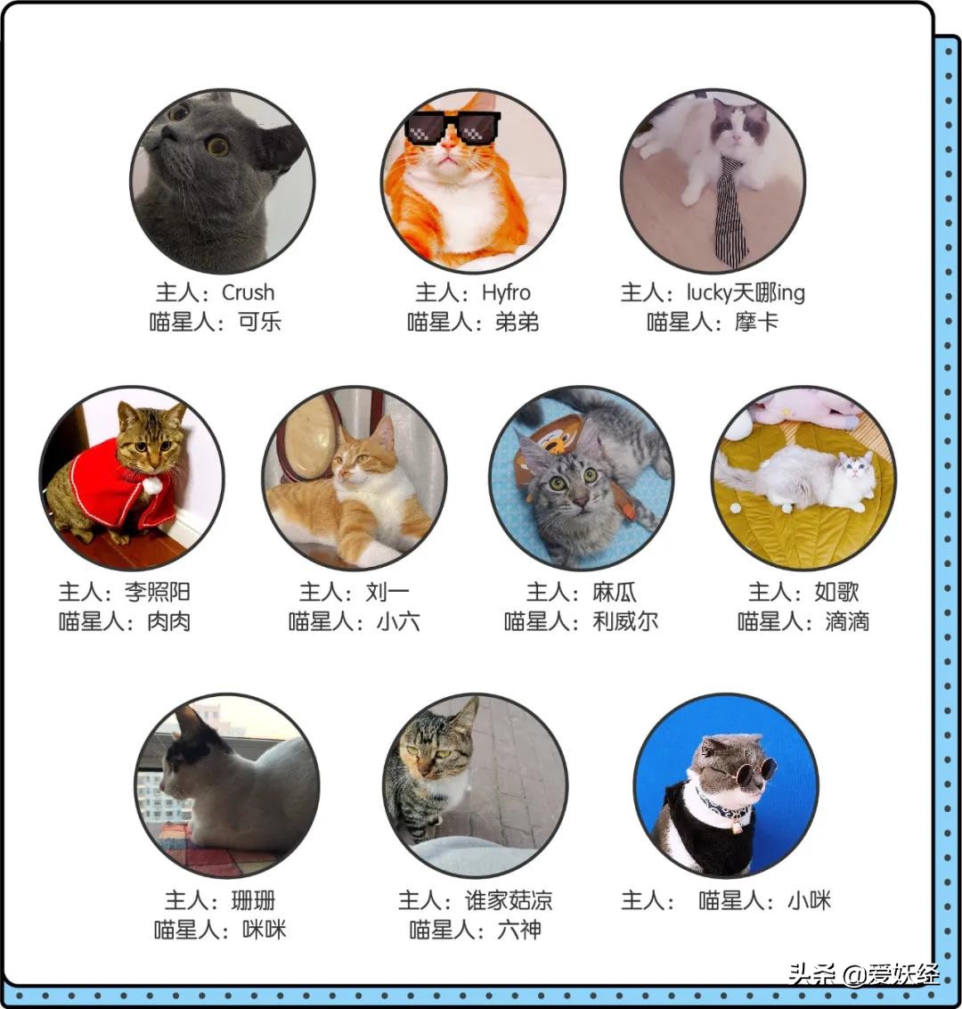 怡亲新品冻干生骨肉，据说是可以做主食的零食