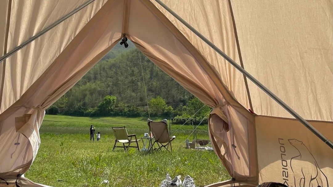 人类森林露营,人类高质量游览