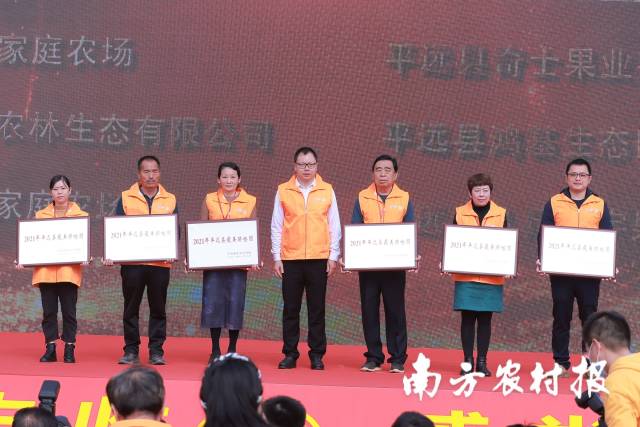 丰收节梅州,梅州丰收节高清图片