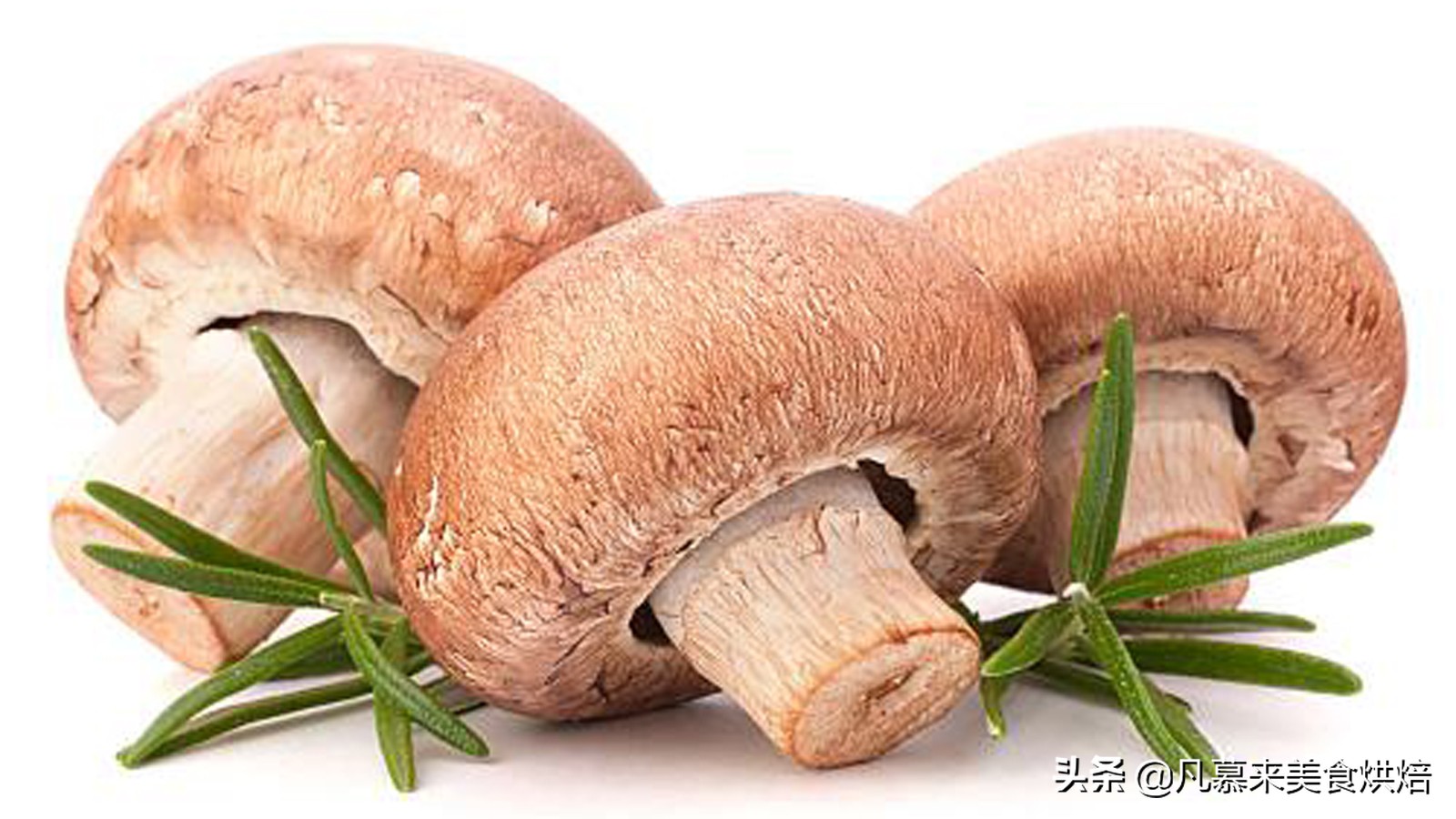 唐山什么特产适合送人,客人来唐山带点啥特产