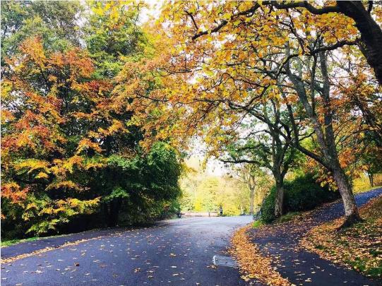 去利兹大学就读是怎样一种体验？