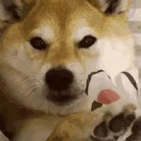 日系平价好用面膜,爆款日本品牌补水面膜