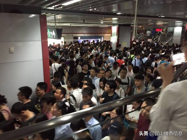 5点起床一早到上海,五点钟出门回家