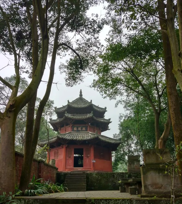 我的中国心中文版,我的中国心全集