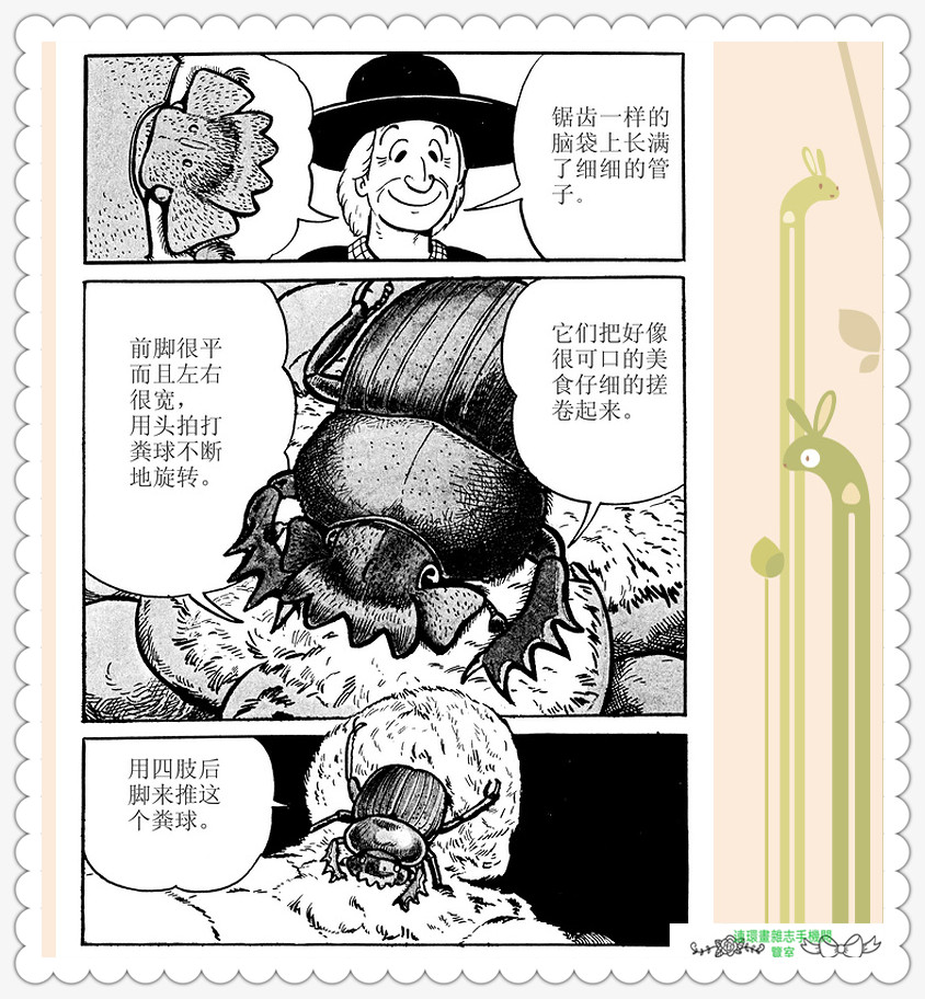 昆虫记法布尔动画片,昆虫记法布尔全套