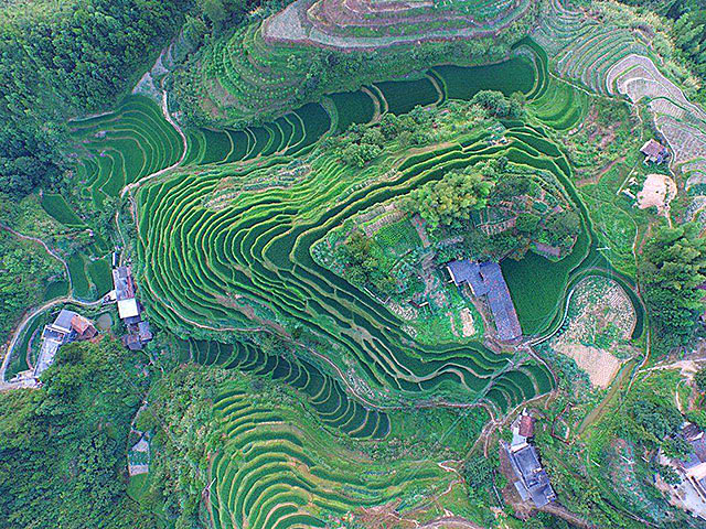 出自南蛮之地的湖南人,靠什么成为拓荒者,改变了中国?