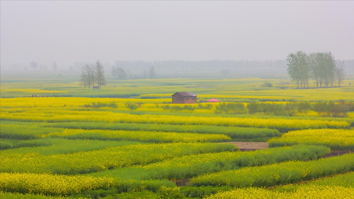 江苏省泰州市区域划分图,江苏泰州市属于华南还是华东