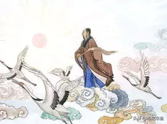 正月十九有哪项传统习俗,正月十九闽南习俗