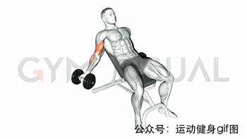 100张肌肉分解图,手臂肌肉的爆发力怎么练