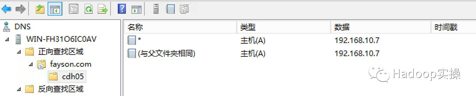 winserver2012dns服务查询,windows如何搭建虚拟dns服务器