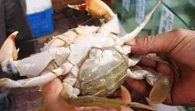 寿光羊口海鲜什么时间去合适,寿光羊口开海时间