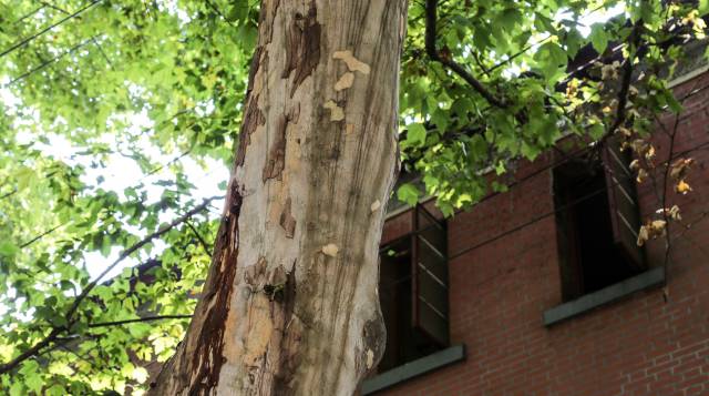 曾经的一座城市武汉,曾经的武昌区