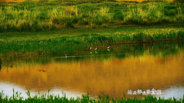 甘肃省金昌市的最新规划,甘肃沙漠城市