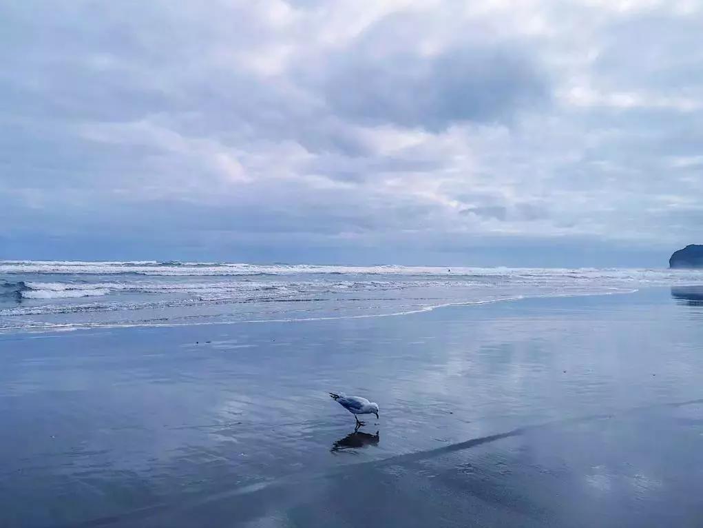 华为新影像大赛9张图,2019华为新影像大赛