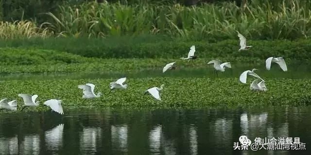 广东第一个千亿大镇，名副其实的广东第一镇