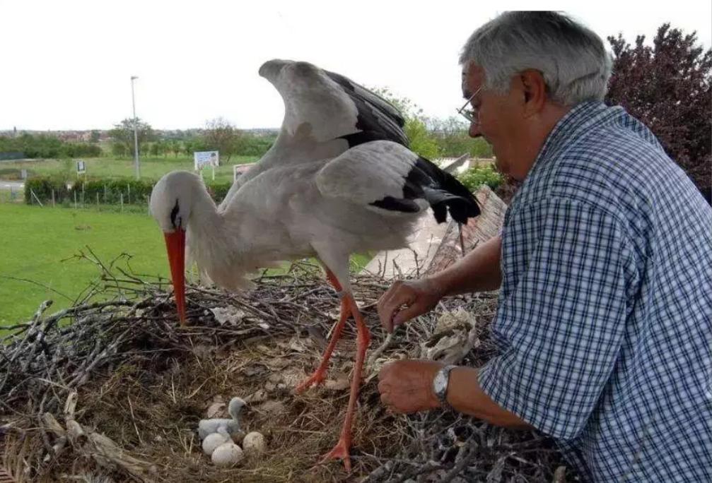 18年感人的爱情故事视频,18年的爱情故事