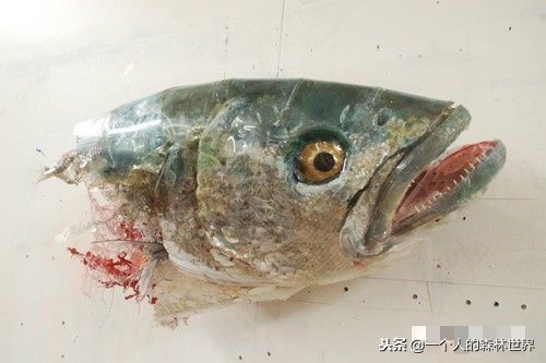 閫忚澶栨寕鐪熷疄浜嬩欢,閫忚澶栨寕鐪熺殑鍋囩殑