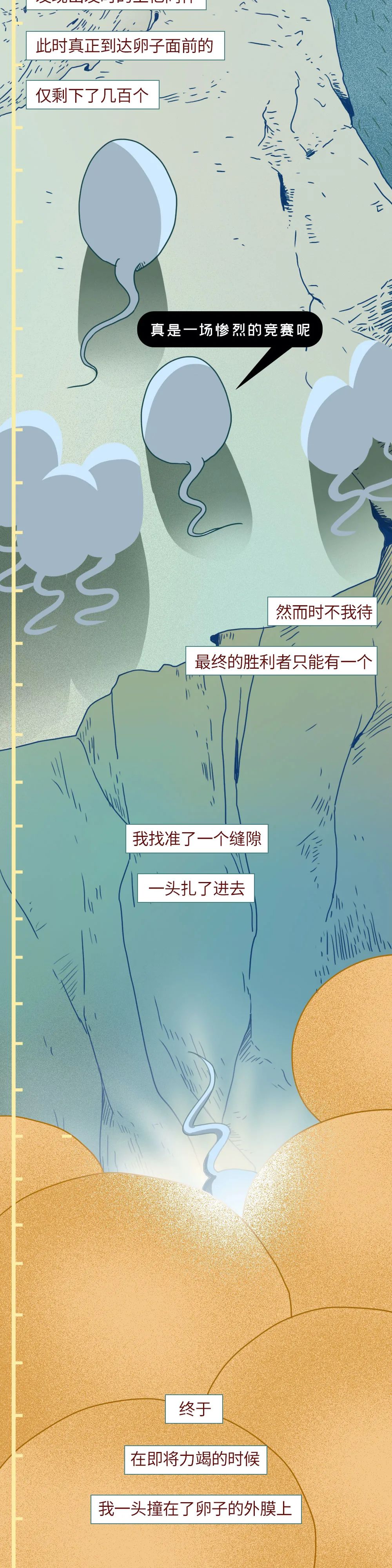 科普知识精子液化后的状态,男性精子在体内存活时间