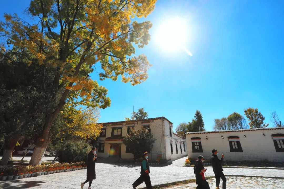 拉萨生活真实感受,日光之城拉萨旅游