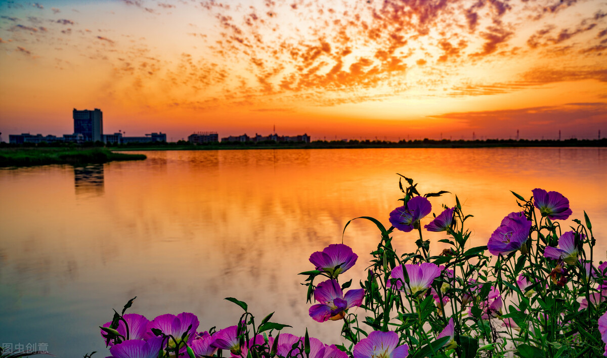 气血亏虚怎样才能最快补回来,气血亏虚一般多久可以补过来