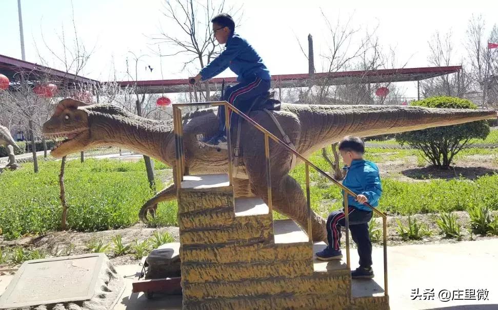 石家庄周边旅游一日游免费,石家庄周边一日游10月中旬