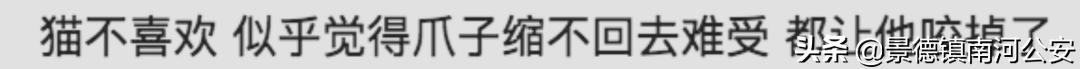 “割声带、截肢、电击，当爱变成我的噩梦”