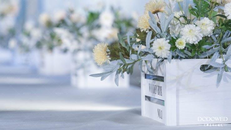 dodowed婚礼案例,dowed婚礼