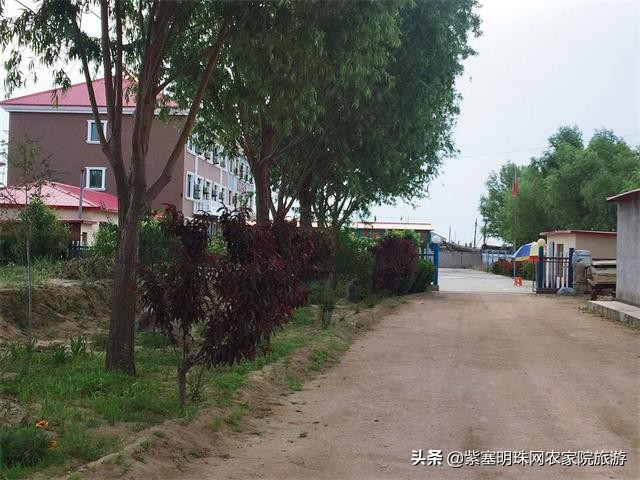 绉︾殗宀涙梾娓稿彲浠ュ嚭娴锋崟楸肩殑鍦版柟 (绉︾殗宀涚墽娴疯繙鑸啘瀹堕櫌)