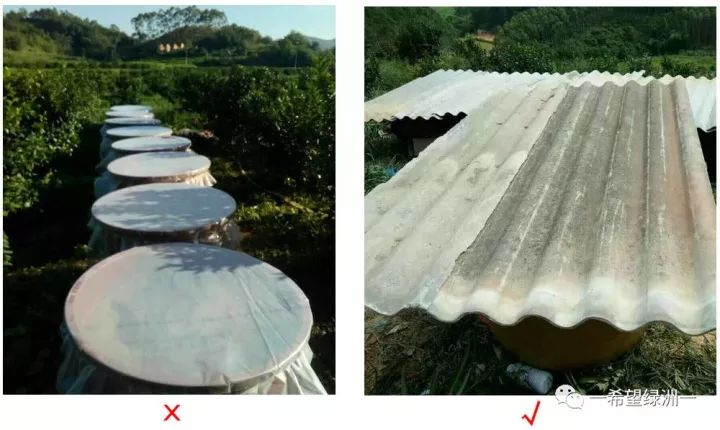 花生麸发酵无渣技术,花生麸无臭发酵方法要哪种红糖