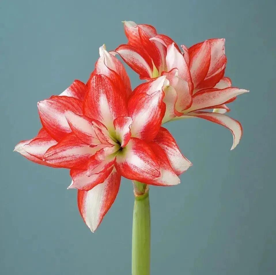 老北京俏皮话歇后语,老北京典故及歇后语