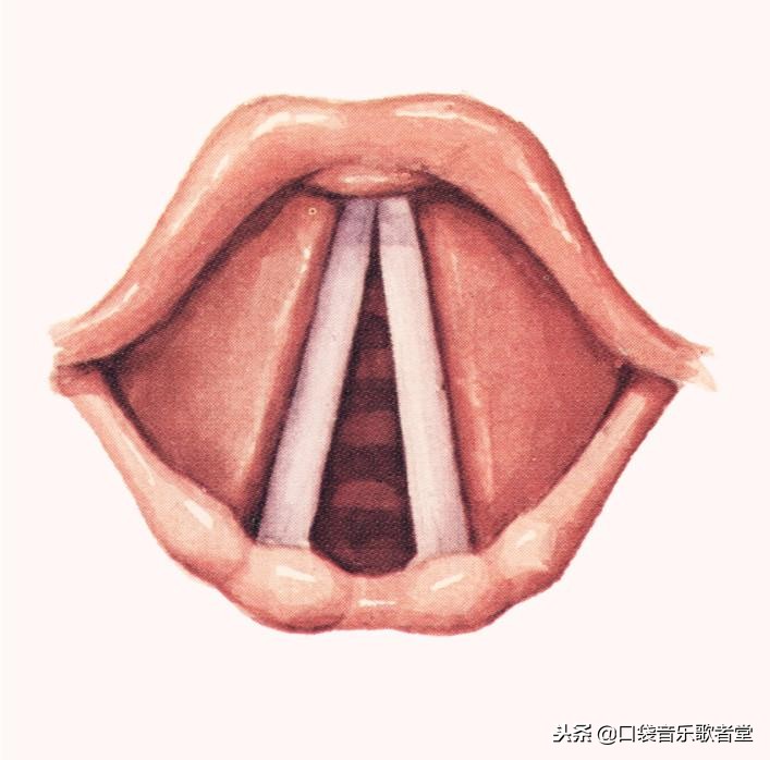 唱歌肺活量高如何学唱歌,学唱歌怎么练气息和肺活量