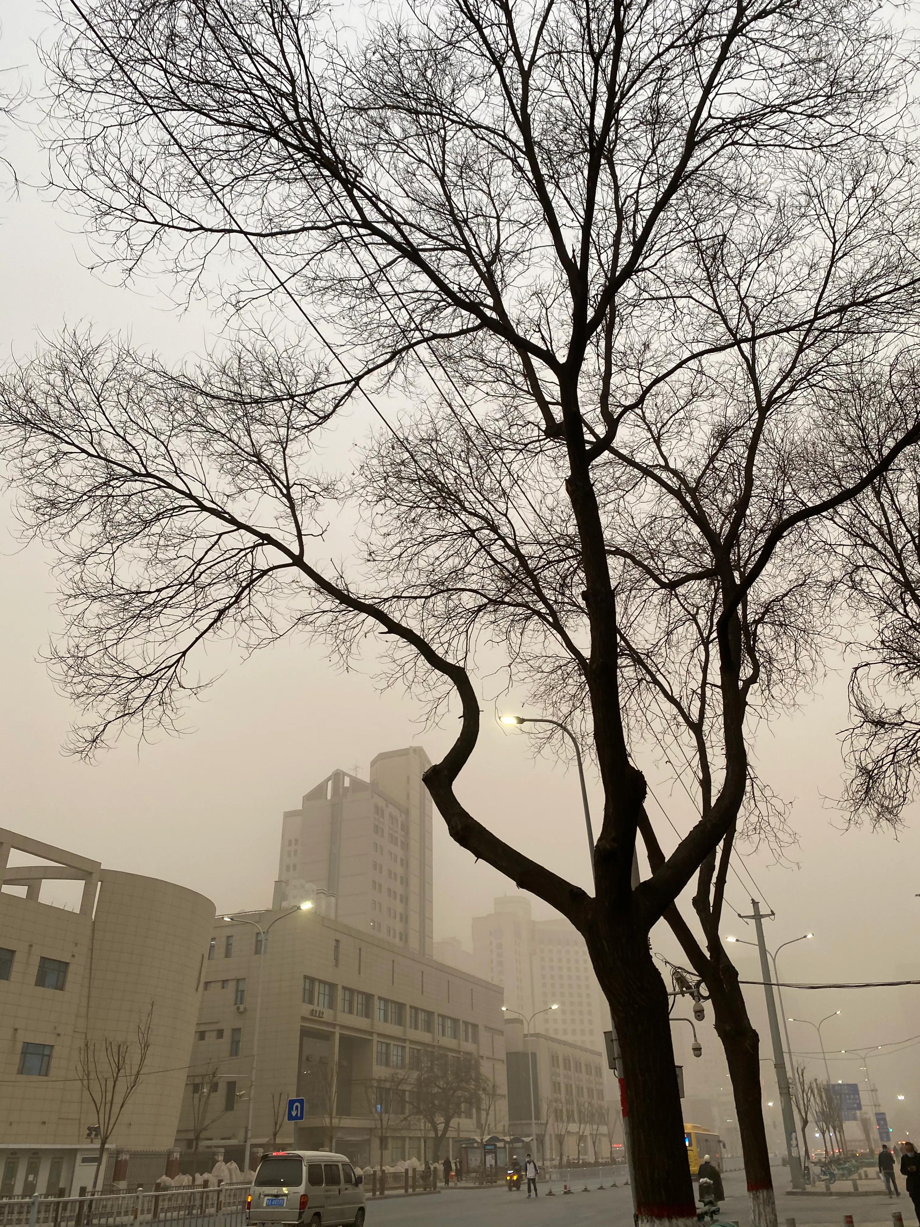 茧破,茧子怎么去除