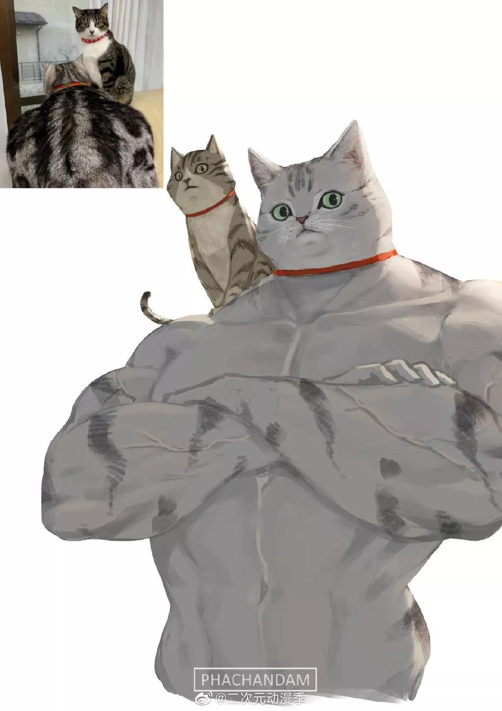 又一位肌肉*男猛**出现了，这个系列永不完结……