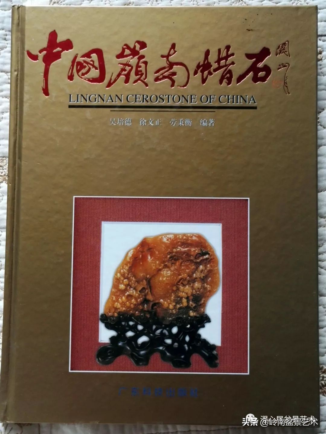 玩树藏石，不亦乐乎！