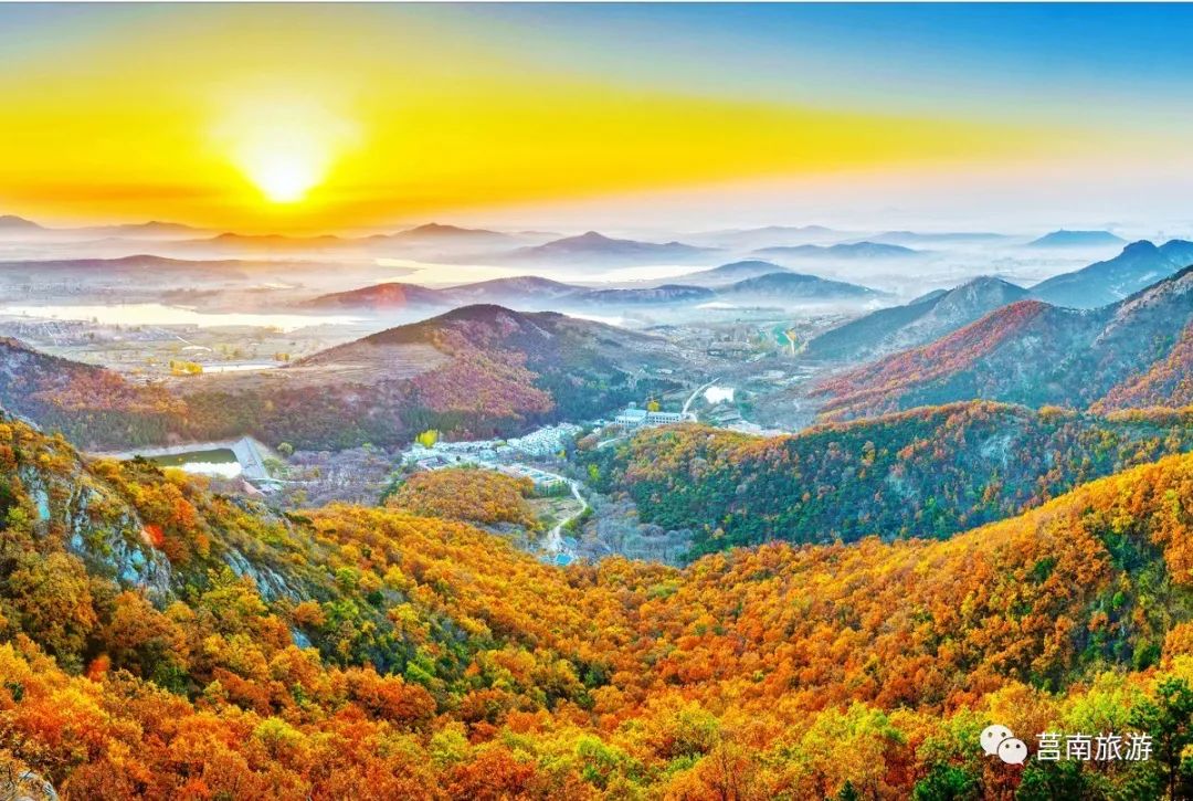 悦享莒南|惊艳了莒南蓝，温暖了遇见