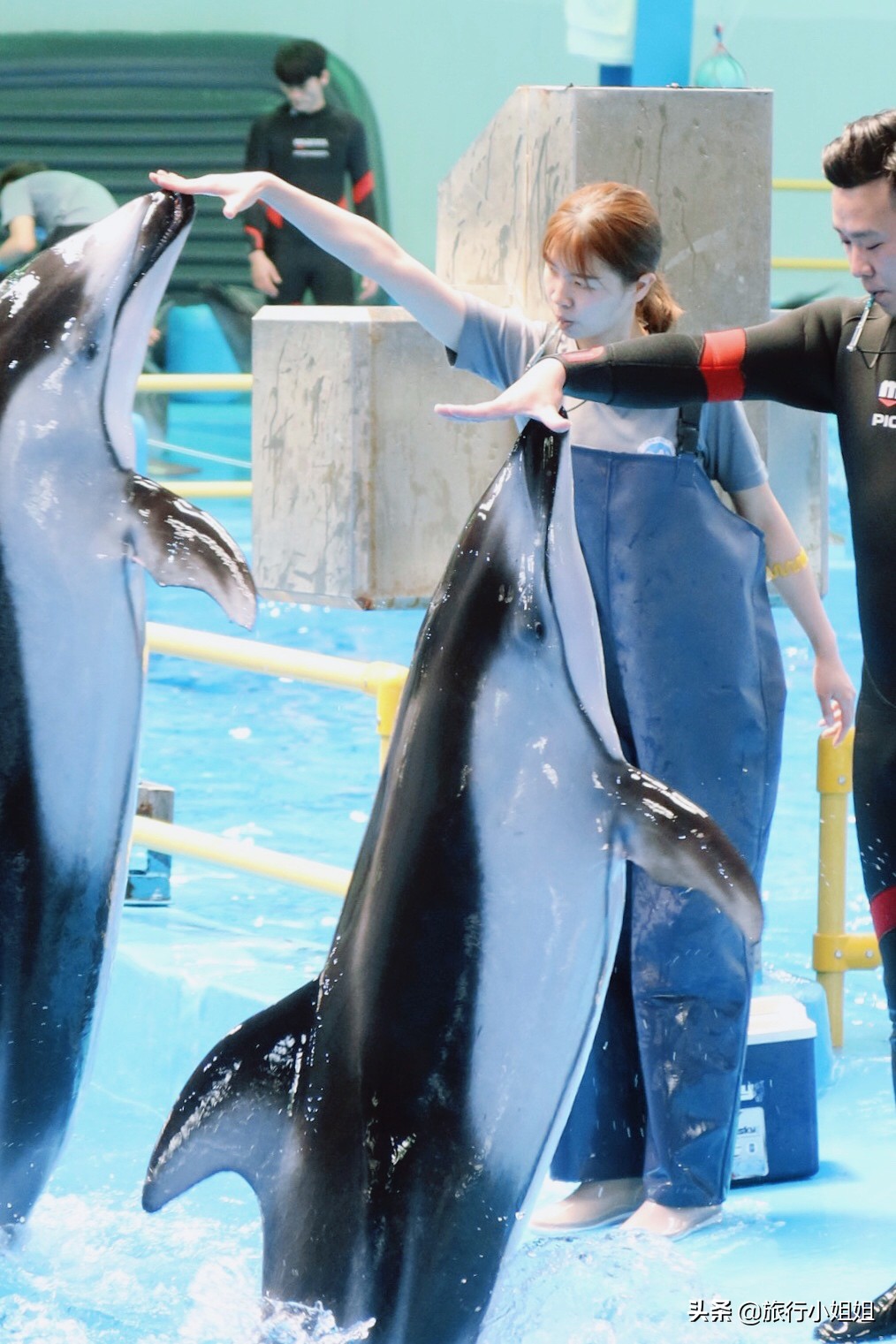 住在梦幻城堡,抚仙湖海豚湾住宿攻略