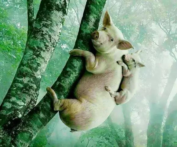 全国最怕老婆的城市排行榜,全国男性怕老婆排名