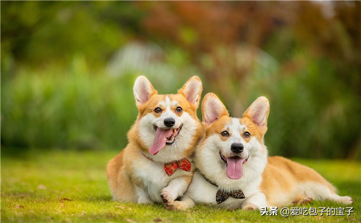 禧月荟月子罗湖,禧月荟月子中心产后康复