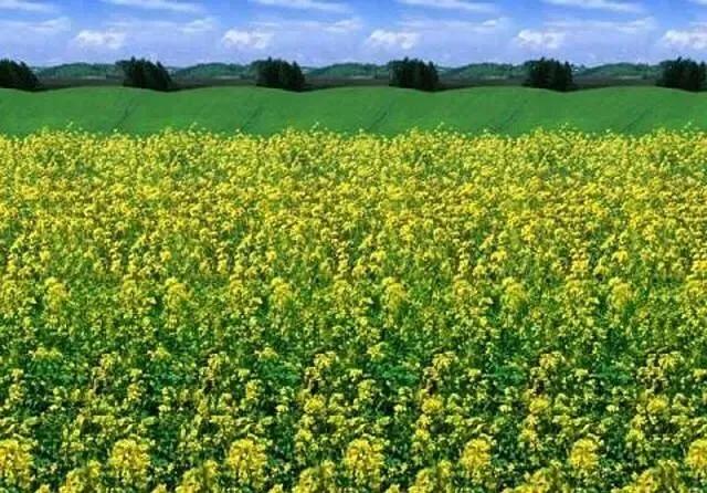 三维立体图观看,三维立体图大全及答案