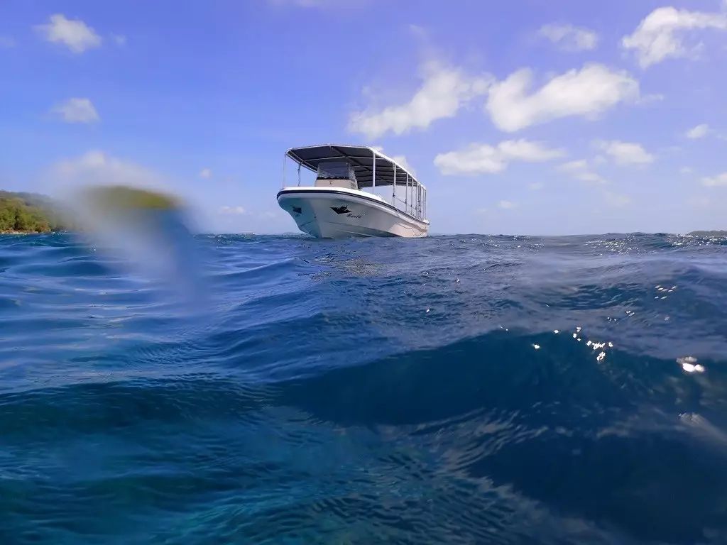 帕劳归来不看海谁说的,帕劳归来不看海