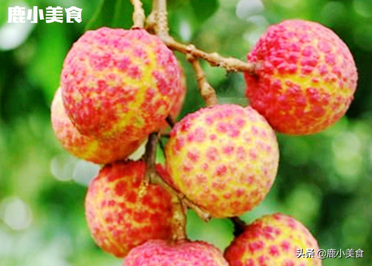 公认好吃荔枝第一名无核荔枝,桂味荔枝是最甜的荔枝吗